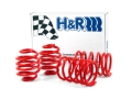 Picture of H&R HR Race Springs Lowering Springs - 50404-88