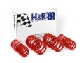 Picture of H&R HR Race Springs Lowering Springs - 29996-1