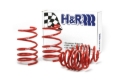 Picture of H&R HR Race Springs Lowering Springs - 50424-88