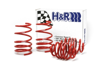 Picture of H&R HR Race Springs Lowering Springs - 50424-88