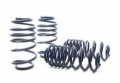 Picture of H&R HR Race Springs Lowering Springs - 54751-88