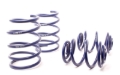 Picture of H&R HR Race Springs Lowering Springs - 29593