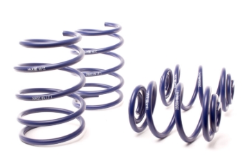 Picture of H&R HR Race Springs Lowering Springs - 29593