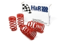 Picture of H&R HR Race Springs Lowering Springs - 54748-88