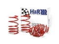 Picture of H&R HR Race Springs Lowering Springs - 50424-88