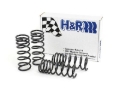 Picture of H&R HR Race Springs Lowering Springs - 29487-1