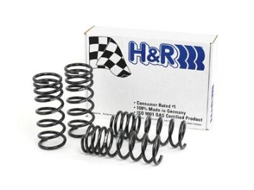 Picture of H&R HR Race Springs Lowering Springs - 29487-1