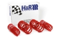 Picture of H&R HR Race Springs Lowering Springs - 29996-1