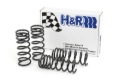 Picture of H&R HR Race Springs Lowering Springs - 29487-1