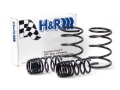 Picture of H&R HR Sport Springs Lowering Springs - 51866