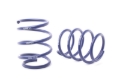 Picture of H&R HR Sport Springs Lowering Springs - 29255-3