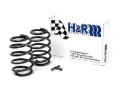 Picture of H&R HR Sport Springs Lowering Springs - 29378-1