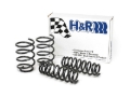 Picture of H&R HR Sport Springs Lowering Springs - 50490-4