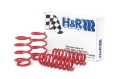 Picture of H&R HR Sport Springs Lowering Springs - 29053-1