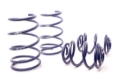 Picture of H&R HR Sport Springs Lowering Springs - 29970