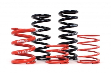 Picture of H&R HR 60mm ID Race Springs Coilover Springs - ZF090-058