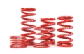 Picture of H&R HR 60mm ID Race Springs Coilover Springs - ZF100-050