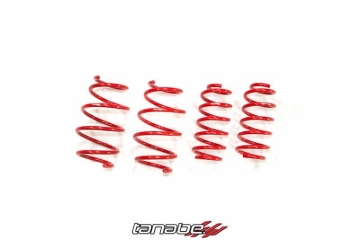 Picture of Tanabe TAN Springs-NF210 Lowering Springs - TNF191