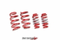 Picture of Tanabe TAN Springs-NF210 Lowering Springs - TNF196