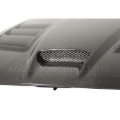 Picture of Anderson Composites AND Hoods - AC-HD0309DGVIP-ACR