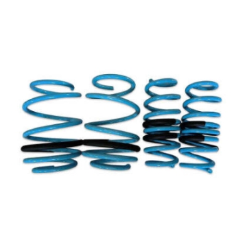 Picture of BLOX Racing BX Lowering Springs - BXSS-01002