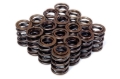 Picture of BLOX Racing BX Valve Springs Valve Springs, Retainers - BXPT-10301