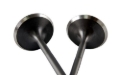 Picture of BLOX Racing BX Valve Sets - BXPT-20205