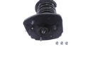 Picture of KYB Shocks & Struts Strut Plus Shocks and Struts - SR4003