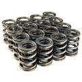 Picture of BLOX Racing BX Valve Springs Valve Springs, Retainers - BXPT-10302
