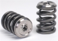 Picture of Skunk2 Racing SK Alpha Spring/Retainer Kit Valve Springs, Retainers - 344-05-1300