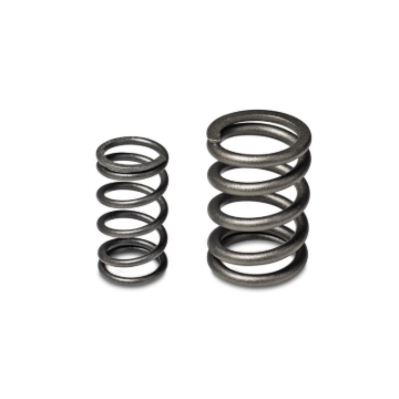 Picture of Skunk2 Racing SK Tuner Valve Springs Valve Springs, Retainers - 311-05-1350