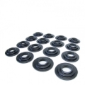 Picture of Skunk2 Racing SK Valve Spring Base Kits Valve Springs, Retainers - 312-05-0015