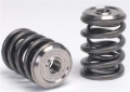 Picture of Skunk2 Racing SK Alpha Spring/Retainer Kit Valve Springs, Retainers - 344-05-1410