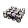 Picture of Skunk2 Racing SK Alpha Spring/Retainer Kit Valve Springs, Retainers - 344-05-1300