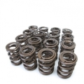 Picture of Skunk2 Racing SK Tuner Valve Springs Valve Springs, Retainers - 311-05-1350