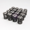 Picture of Skunk2 Racing SK Alpha Spring/Retainer Kit Valve Springs, Retainers - 344-05-1300