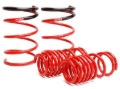 Picture of Skunk2 Racing SK Lowering Springs - 519-05-1575