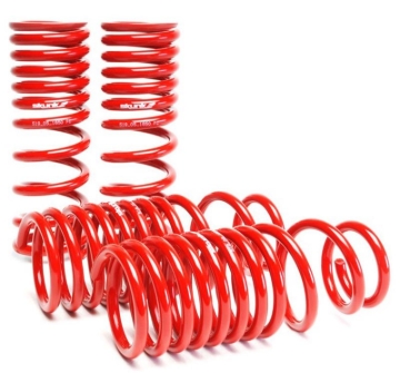 Picture of Skunk2 Racing SK Lowering Springs - 519-05-1650