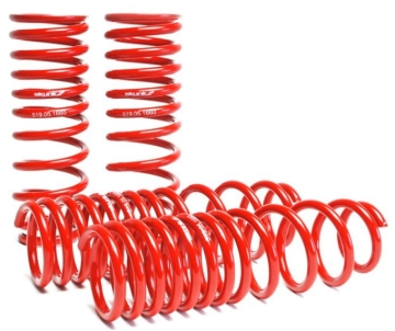 Picture of Skunk2 Racing SK Lowering Springs - 519-05-1660
