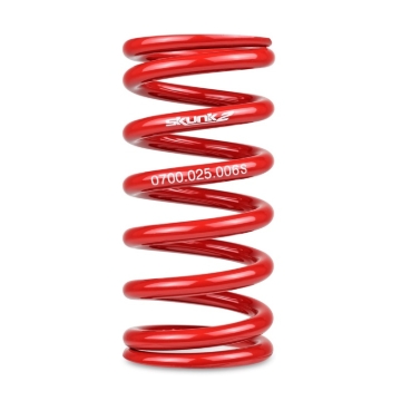 Picture of Skunk2 Racing SK Race Springs Lowering Springs - 521-99-1010