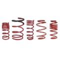 Picture of Skunk2 Racing SK Race Springs Lowering Springs - 521-99-1170