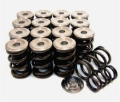 Picture of GSC Power Division GSC Valve Spring Kits Valve Springs, Retainers - 5049