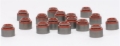Picture of Skunk2 Racing SK Alpha Spring/Retainer Kit Valve Springs, Retainers - 312-05-0100