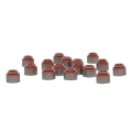 Picture of Skunk2 Racing SK Alpha Spring/Retainer Kit Valve Springs, Retainers - 312-05-0100