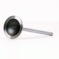 Picture of Skunk2 Racing SK Alpha Valves - 310-05-1310
