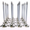 Picture of Skunk2 Racing SK Alpha Valves - 310-05-1535
