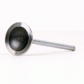 Picture of Skunk2 Racing SK Alpha Valves - 310-05-1310