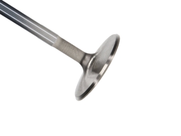 Picture of Race  BBC Ex. Vlv Kit - 1.725 in. Head Dia.,5.350 in. O/A ,.3715 in. Stem