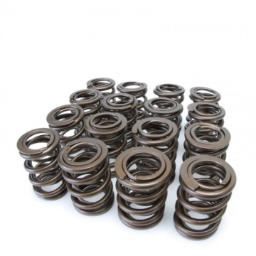 Picture of Skunk2 Racing SK Tuner Valve Springs Valve Springs, Retainers - 311-05-1380