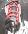 Picture of Sportline Lowering Springs